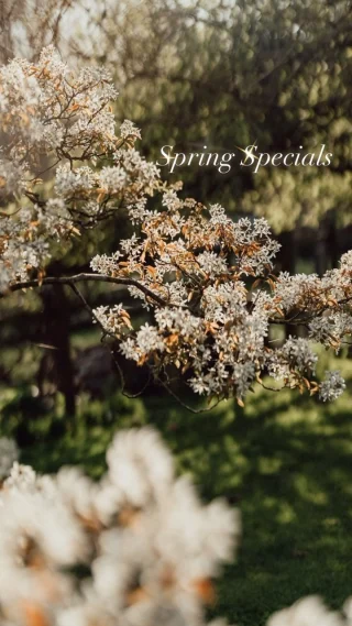 🌸 Spring 🌸
🌿 It’s a pretty unbeatable time of year to marry. The gardens are coming to life, days are warmer and sunsets 🌅 spectacular. 
✨ We have some fantastic dates for Spring 2026 currently still available, including the early May and Easter bank holidays. 
🥂 We’ve also discounted a couple of our early season weekends. 🗓️ Just head to our online calendar to learn more. 
🌿 With our May Showcase coming up, it’s a great time to view. 
#barnweddingvenue #countrywedding #sustainableweddingvenue #countryweddingvenue #northamptonshireweddingvenue #englishwedding #weddingvenuewithrooms #outsidewedding