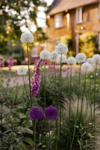 🌿 May gardens loading... 
💦 After a dry Spring, last weekend's rain was exactly what the doctor ordered for the gardens which, with the warmer weather are now bursting into life. 
🍃 The Orchard foliage is growing fast summer flowers 🌸 starting to bloom for our late Spring / early summer weddings and Showcase on 11th May. 
🌼These gorgeous images are from Leah & Rory's May wedding. 
📷 @amaragracephotography
🌸 @pembridgefarmflowers